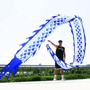 19.6 FT Silk-Like Blue Dragon Poi, Flinging Dragon Spiral Practice Ribbon Streamer with 90 cm Stretchable Fiberglass Handstick Rod   Travel Carry Bag!