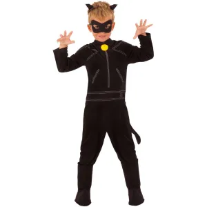 Cat Noir Miraculous Ladybug