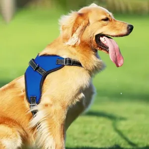 Durable Dog Harness L Size (Blue)