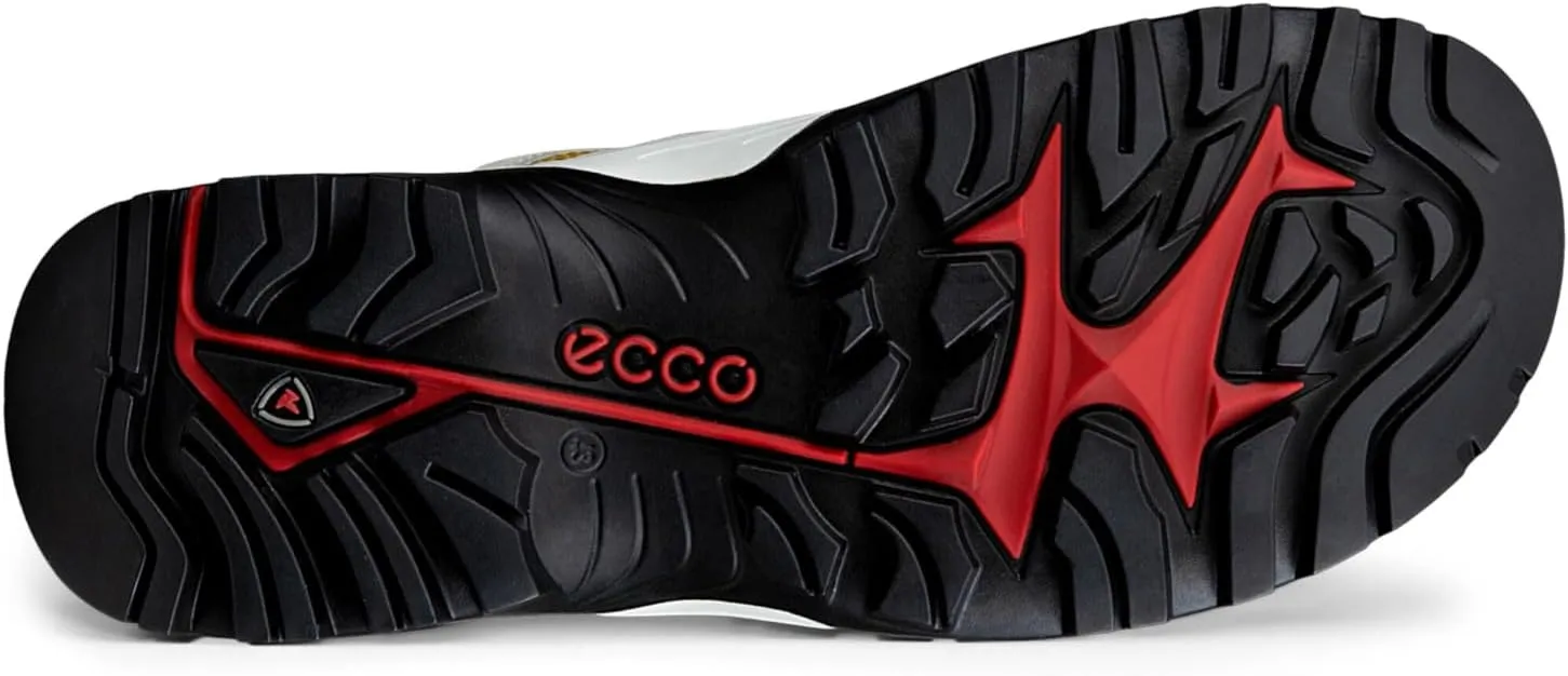 ECCO Men's Offroad Pathfinder Hiking Shoe