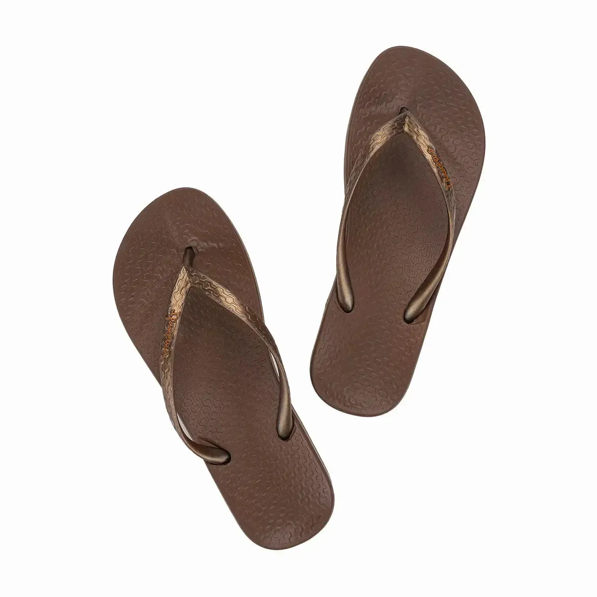 Ipanema - Anatomica Flip Flops in Brown/Bronze