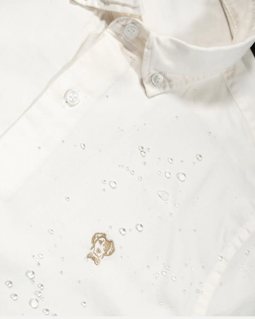 Ivory Oxford Stain Resistant Shirt Regular Fit