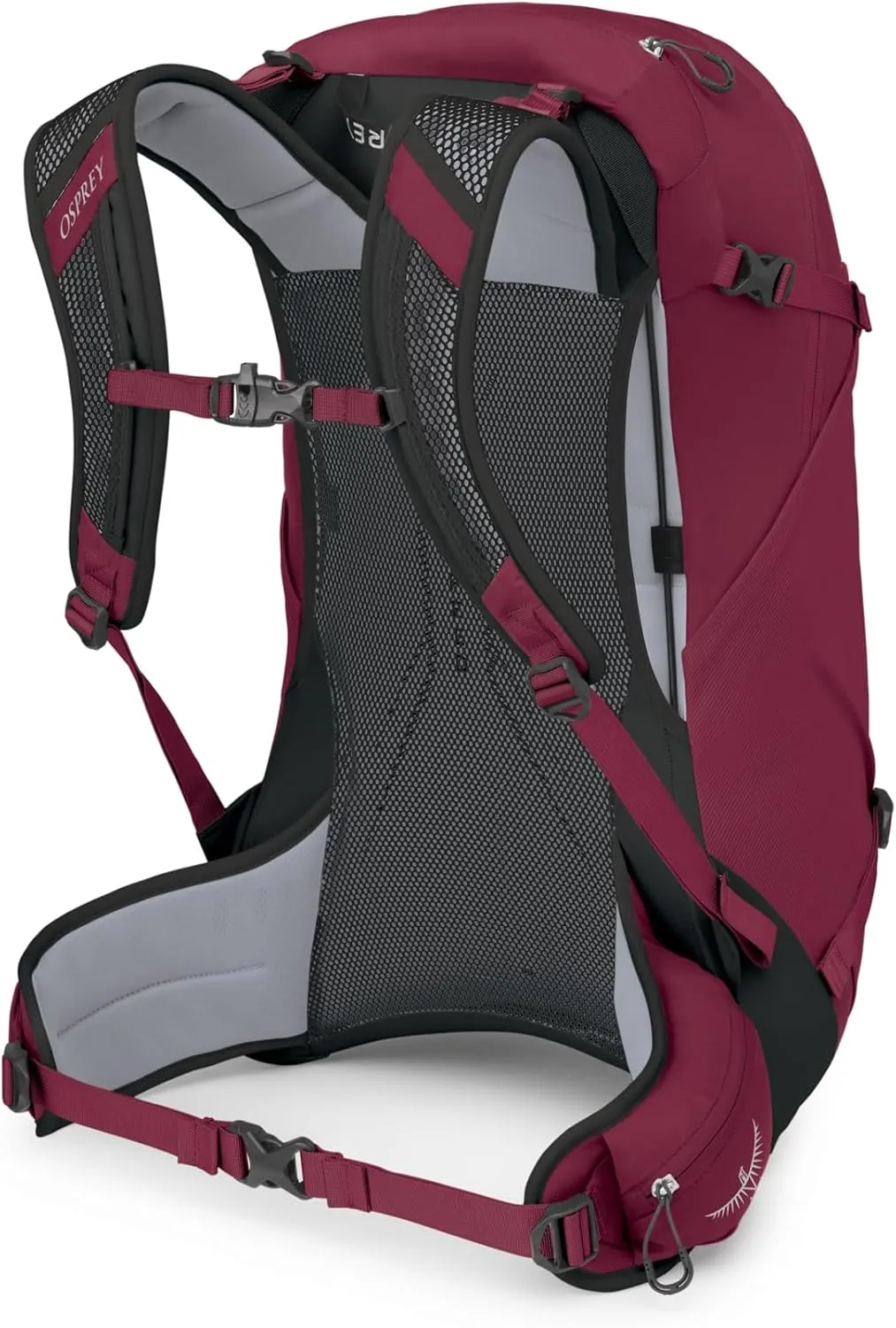 Osprey Hikelite 28L Unisex Hiking Backpack, Chameleon/Black, M/L