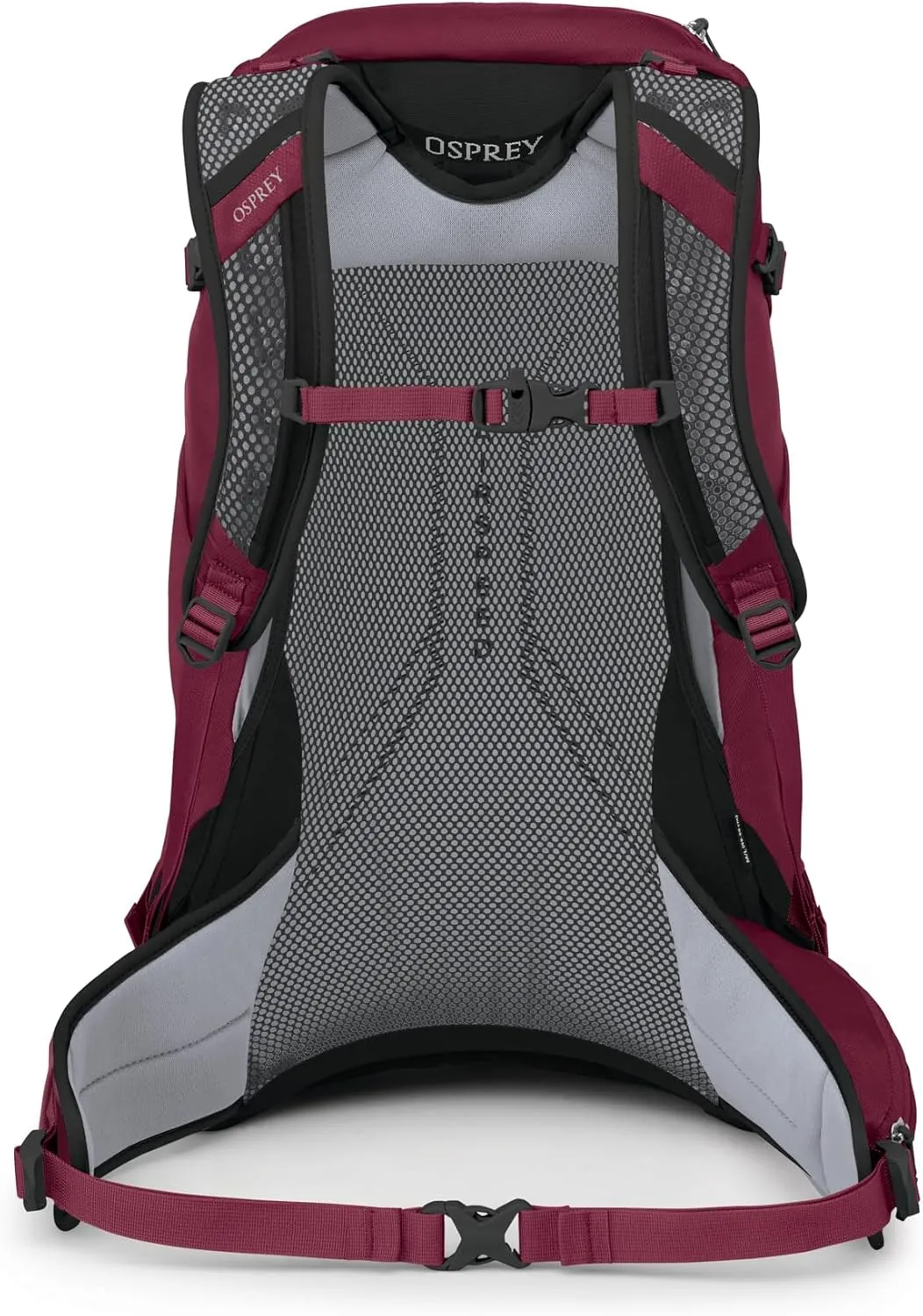 Osprey Hikelite 28L Unisex Hiking Backpack, Chameleon/Black, S/M